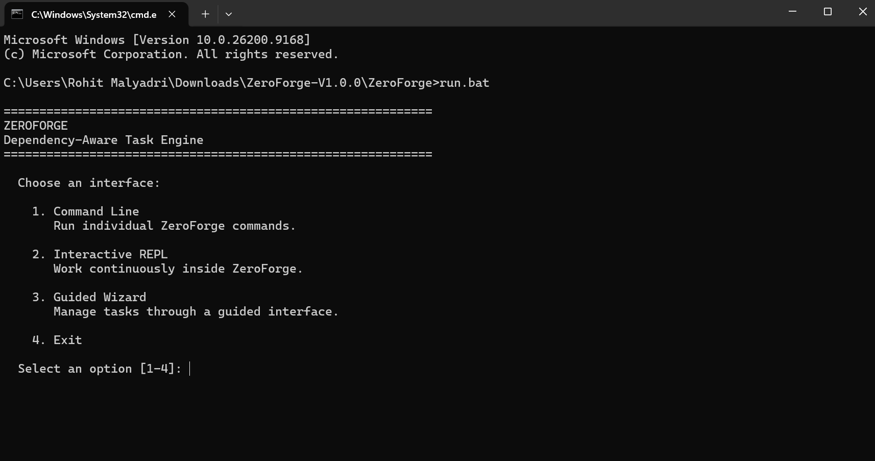 Choose the CLI, REPL, Wizard or Exit option
